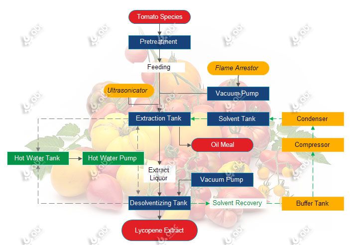 extracting lycopene from tomato species