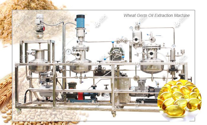 wheat germ oil extraction machine for sale