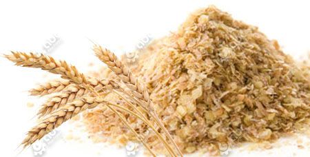 Wheat Germ Oil Extraction Process